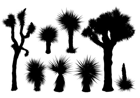 Cactus Silhouette Vector At Collection Of Cactus