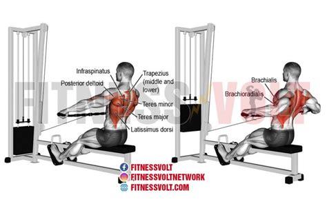 Wide Grip Cable Row Exercise Guide And Videos ~