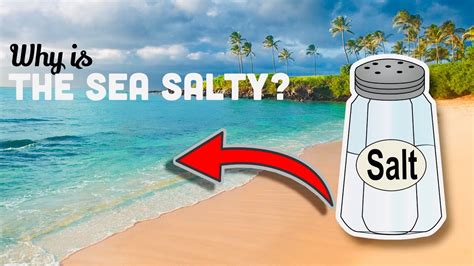 why is the sea salty [educational] youtube
