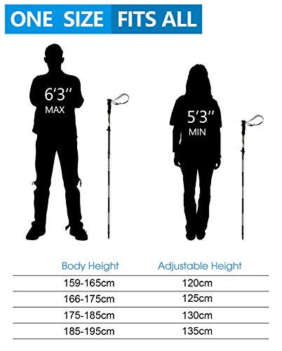 Proper Height For Hiking Poles