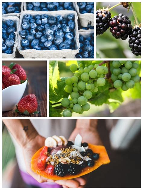 What to do with old strawberry plants. Growing Berries in South Africa | Chic African Culture