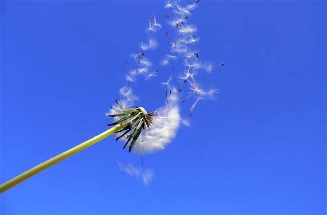 Nevose precipitazioni nevose previste per il tardo pomeriggio tardo. Sognare il vento cosa vuol dire? Significato e Numeri da ...