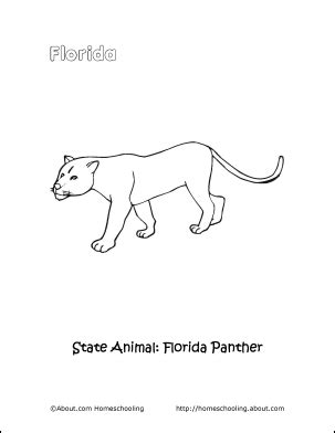 Buffalo's tail can be almost three feet long, and they use it to swap at pesky bugs. Florida Word Search, Crossword Puzzle and More | Florida panther, Florida, Creative classroom