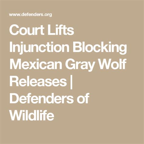 Court Lifts Injunction Blocking Mexican Gray Wolf Releases