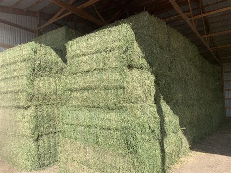 Premium Alfalfa For Sale Farmer John Company