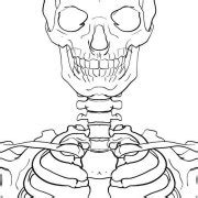 Types of Joints | The Skeleton & Bones | Anatomy & Physiology