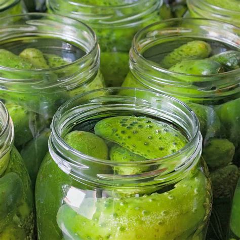 25 Ways To Use Pickle Juice The Purposeful Pantry
