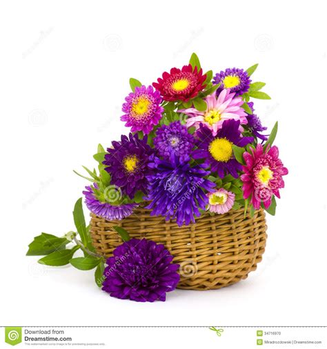 Browse 2,653 flower baskets stock photos and images available, or search for hanging flower baskets to find more great stock photos and. Colorful Asters Flowers In A Basket Stock Photo - Image of ...