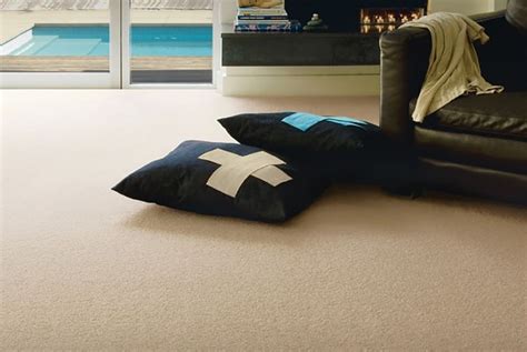 Solution Dyed Nylon Carpets Carpet Homestyle Flooring Solutions