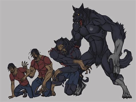 Werewolf Transformation Werewolf Art Werewolf Drawing Character Art
