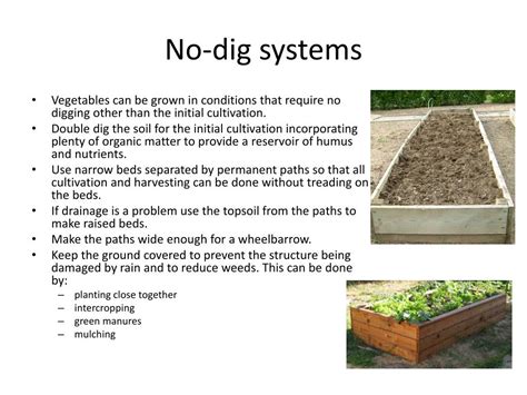 Ppt Soil Cultivation Powerpoint Presentation Free Download Id5625077
