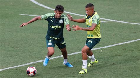 verdão se reapresenta com trabalhos técnicos e táticos após título da copa do brasil palmeiras