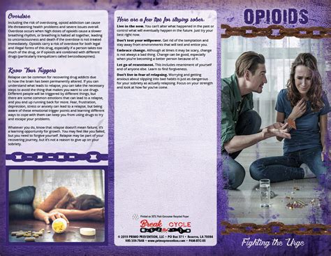 Break The Cycle Opioid Abuse Pamphlet Primo Prevention