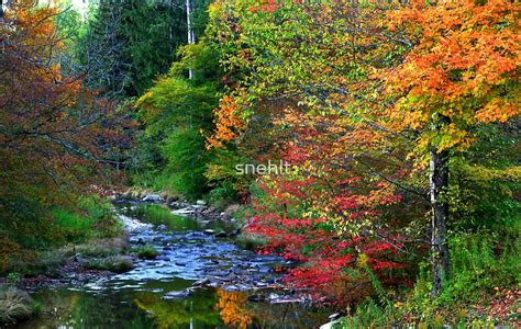 Scenic Autumn Landscape By Snehit Redbubble
