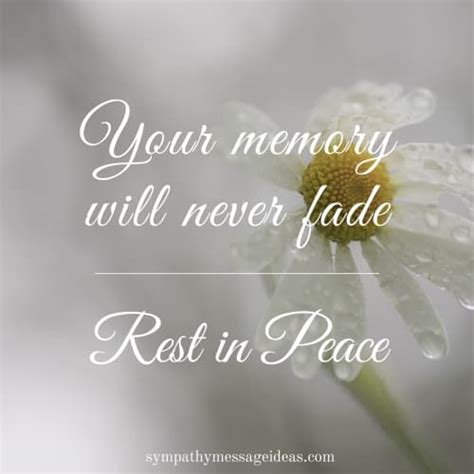 46 Touching Rest In Peace Quotes With Images Gone App