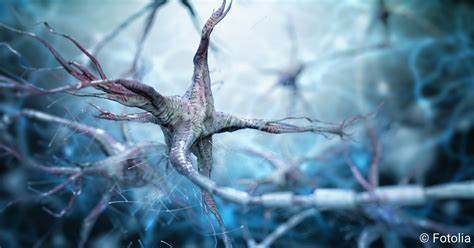 Bipolare zellen sind spezialisierte sensorneuronen für die vermittlung bestimmter sinne. Nervensystem und Nervenzellen - Anatomie - NetDoktor