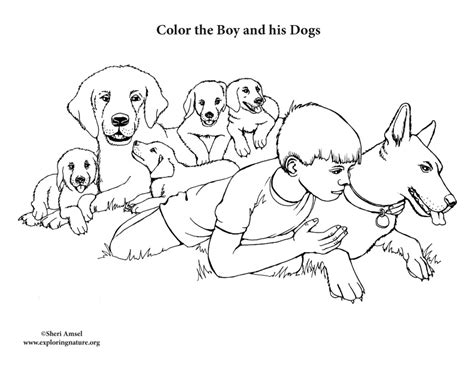 Boy With Pet Dogs Coloring Page