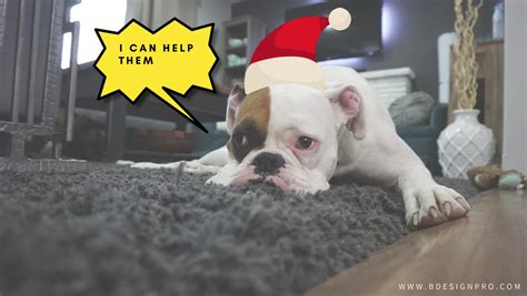 Post Xmas Thoughtsanyone 😀 Hurry Up There´s Still Time B4 Nye 🐶💝