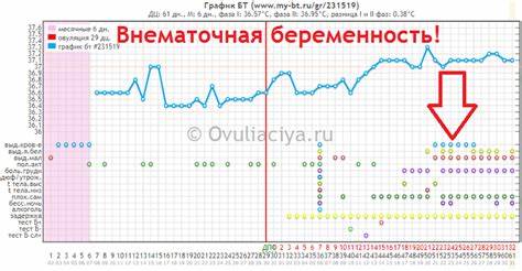 Диеты после операции внематочная беременность