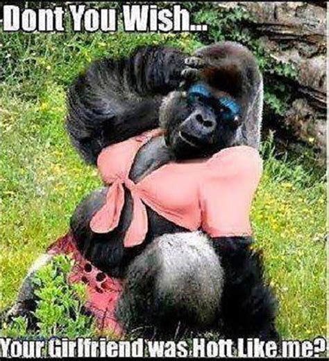 Funny Monkey Pictures Good Morning Funny Pictures Funny Good Morning