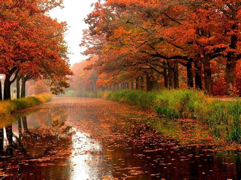 autumn river trees colours leaves nature forests hd