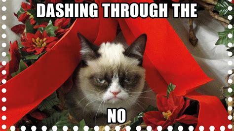 Grumpy Cat Christmas Memes Youtube