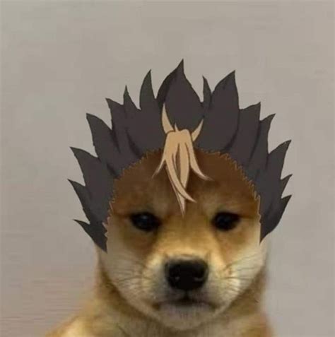 Dog Meme Pfp Naruto