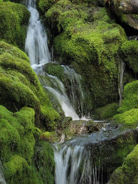 Waterfall Ford Pinchot Park Washington State Flickr