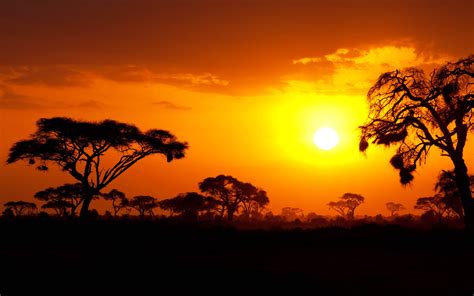 African sunset Kenya & Tanzania Red sky trees silhouettes Wallpaper HD ...