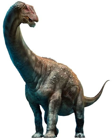 Princess titanic mexico rex dinosaur simulator 2 dino ci. History For Kids: The Dinosaur Story - Learning Resources Blog
