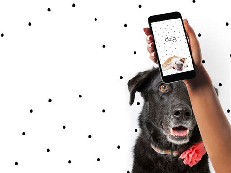 Find your perfect dog-loving soulmate with the Dig dating app | iMore