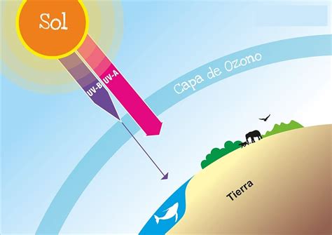 RadiaciÓn Solar ¿qué Es Características Tipos Causas Y Efectos