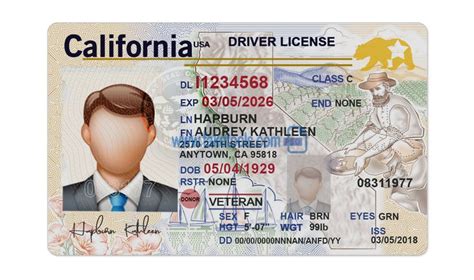 Pin On Ca Drivers License