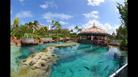 The Dig Aquarium Atlantis Resort Bahamas Youtube