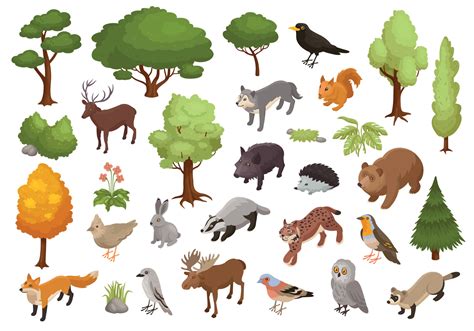 Forest Animals Icon Set 7681385 Vector Art At Vecteezy