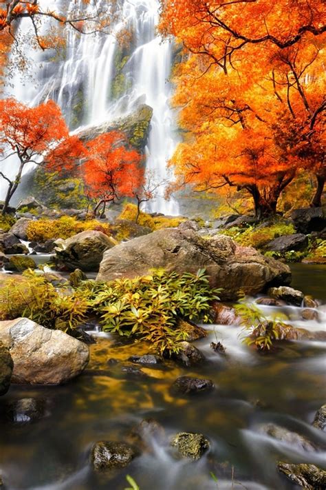 Wallpaper Autumn Forest Waterfalls Trees Red Leaves 1920x1200 Hd