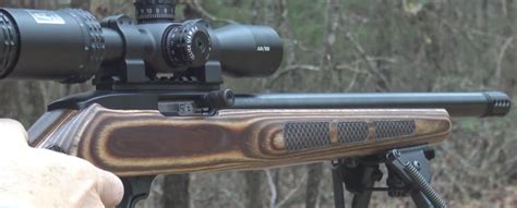 Best Scope For Ruger 1022 The 6 Best Ones For Takedown Carbine And