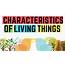 Characteristics Of Living Organisms