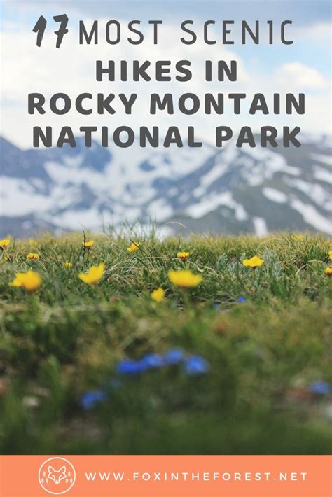 26 Of The Best Hikes In Rocky Mountain National Park For 2022 Rocky