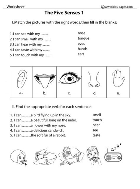Five Sense Worksheet New 672 Five Senses Worksheets Ks1