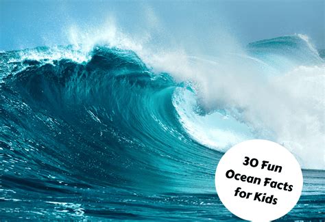 30 Fun Ocean Facts For Kids Teaching Expertise