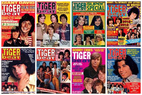 See Top S Stars On Vintage Tiger Beat Magazine OFF