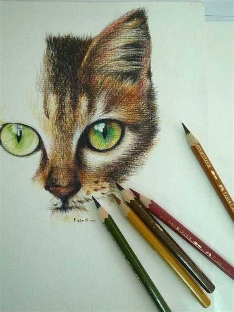 Pencil Art Cat Drawing Colored Art Pinterest