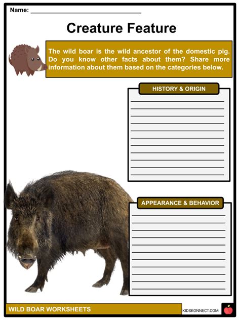 Wild Boar Facts Worksheets Habitat Appearance Behavior For Kids