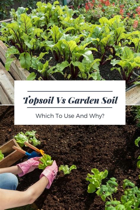 We did not find results for: Topsoil Versus Garden Soil - Which To Use And Why?
