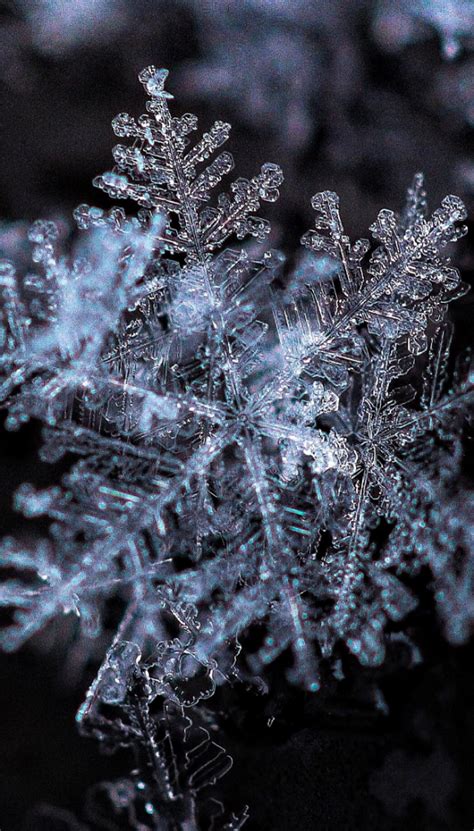 A Few Favorite Snowflake Photos Earth Earthsky