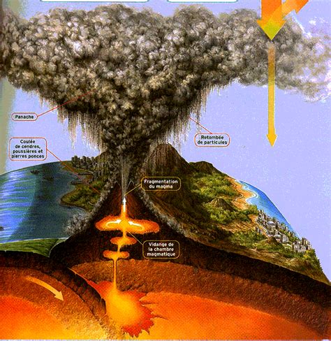⬇ schéma sismique montrant une coupe transversale de la terre et un sismographe. ouvre les yeux: Le séisme japonais du 11 mars peut-il ...