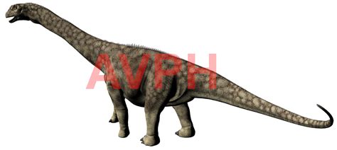 Dreadnoughtus Schrani Atlas Virtual Da Pré História