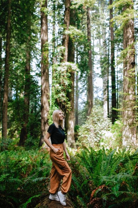 美女树林摄影写真高清图片 人物 素彩图片大全
