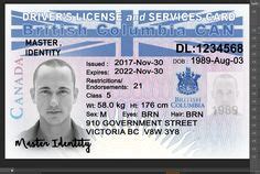 Bc security license transfer in albarta. Social Security Card ssc blank color in 2019 | Templates ...